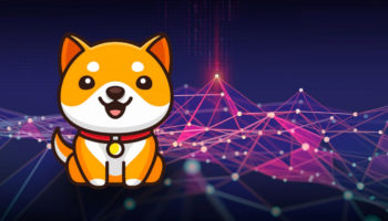 Baby Doge Testnet icin Son Hazirliklar