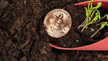 Bitcoin Dusuyor Piyasada Son Durum 23 Agustos 2022