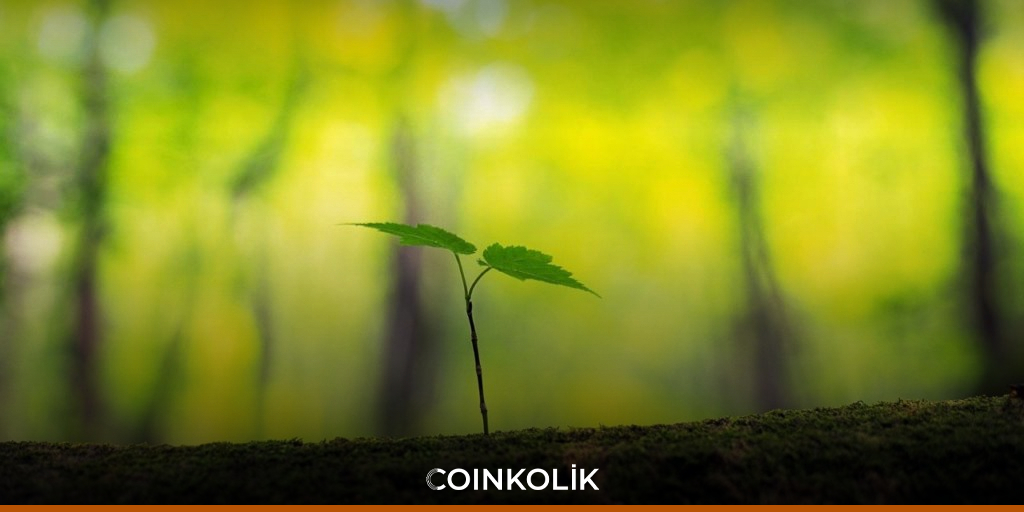 Blockchain Giri imi Sei Labs 5 Milyon Dolar Yat r m Ald Coinkolik blockchain-giri-imi-sei-labs-5-milyon-dolar-yat-r-m-ald-coinkolik