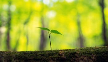 Blockchain Girisimi Sei Labs 5 Milyon Dolar Yatirim Aldi