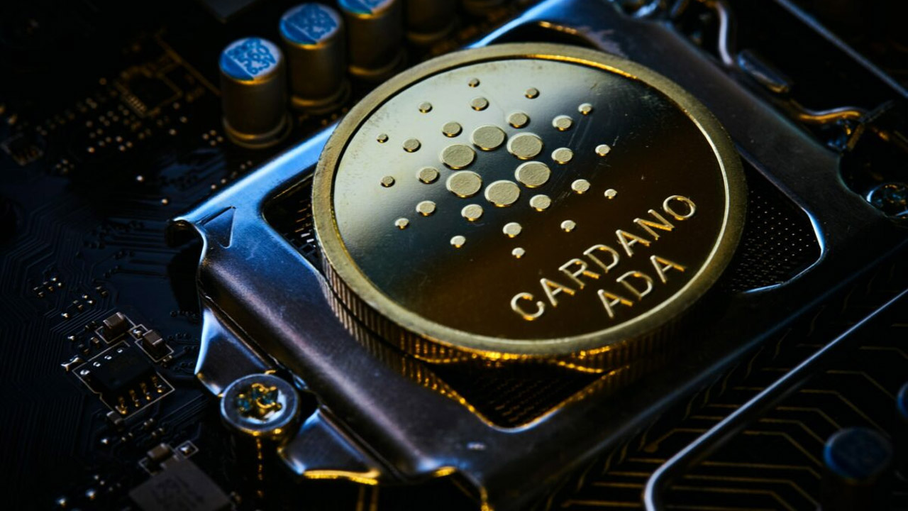 Cardano Kurucusu Vasil Hard Fork Gecikme Yasamayacak