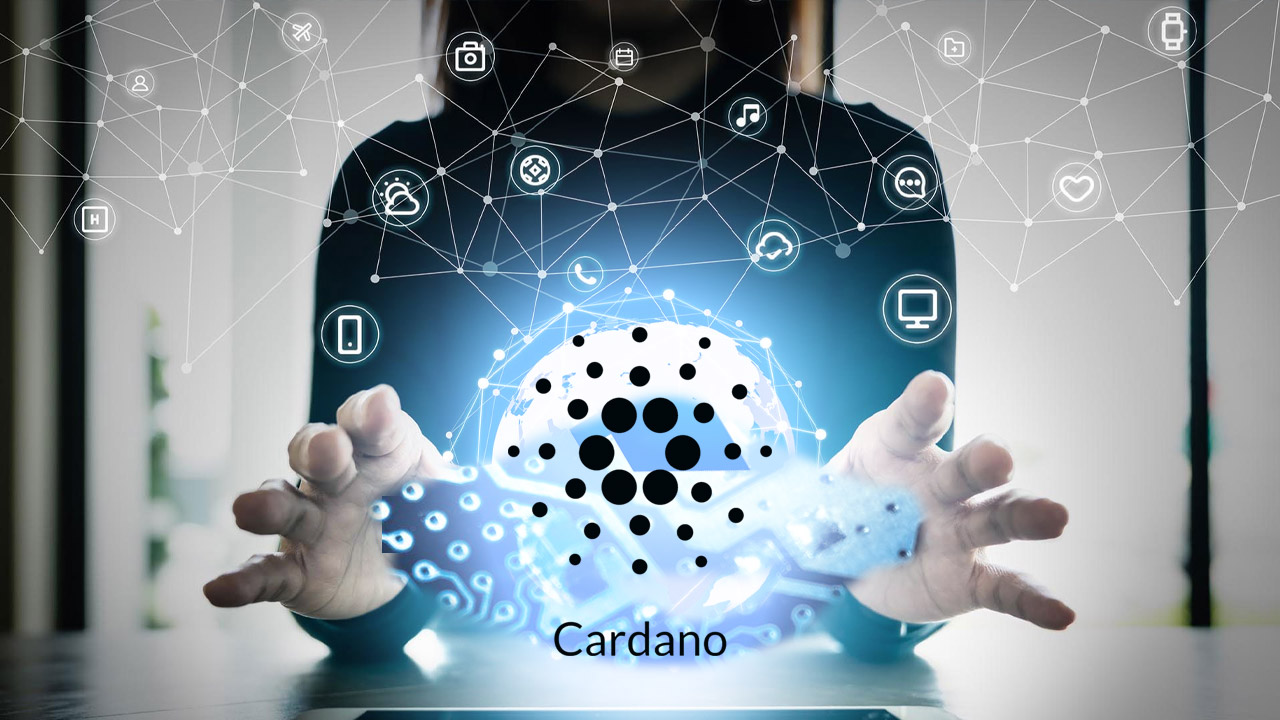 Cardanodaki Akilli Sozlesme Sayisi 3.000i Gecti