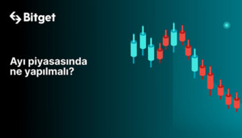 bitget ayi piyasasi