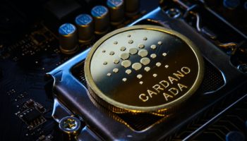 Cardano Daedalusun Test Surumunu Yayinladi