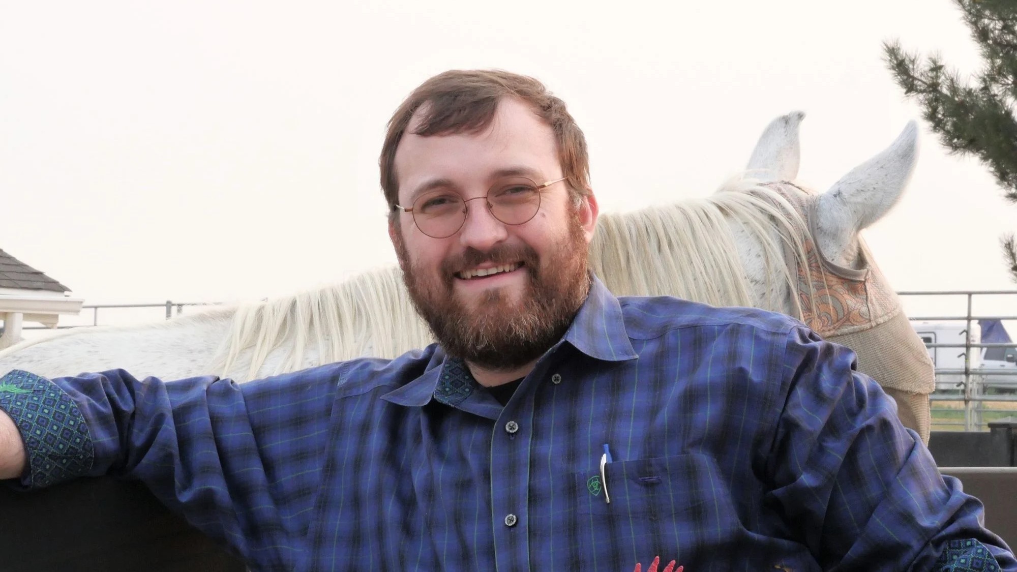 Cardano Kurucusu Bitcoin Hakkinda Yorumda Bulundu