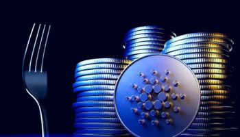 Cardano Vasil Hard Fork Nedir Ne Zaman Cikacak