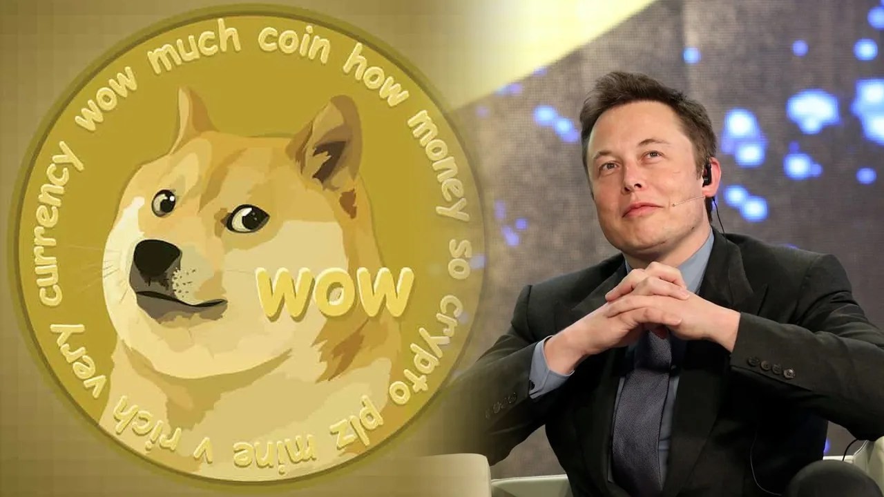Elon Muska Acilan Dogecoin Davasina Yeni Isimler Katildi
