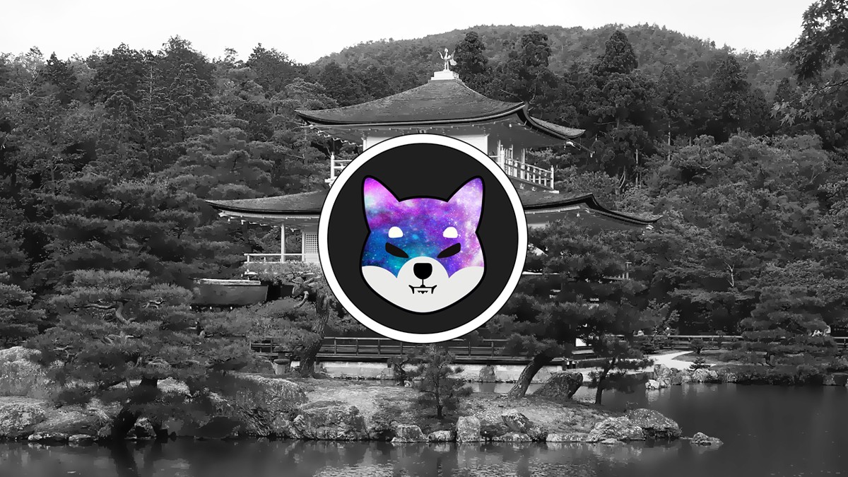 Shiba Inu Metaverse Ekibine Netflixten Transfer