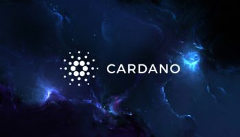 cardano yetkilisi
