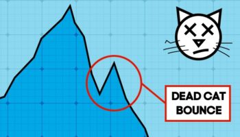 Blog Dead Cat Bounce