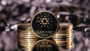 Cardano En Buyuk Ucuncu NFT Protokolu Oldu
