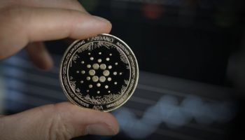 Cardano Stake Oranlarinda 8 Ayin En Dusuk Seviyesinde