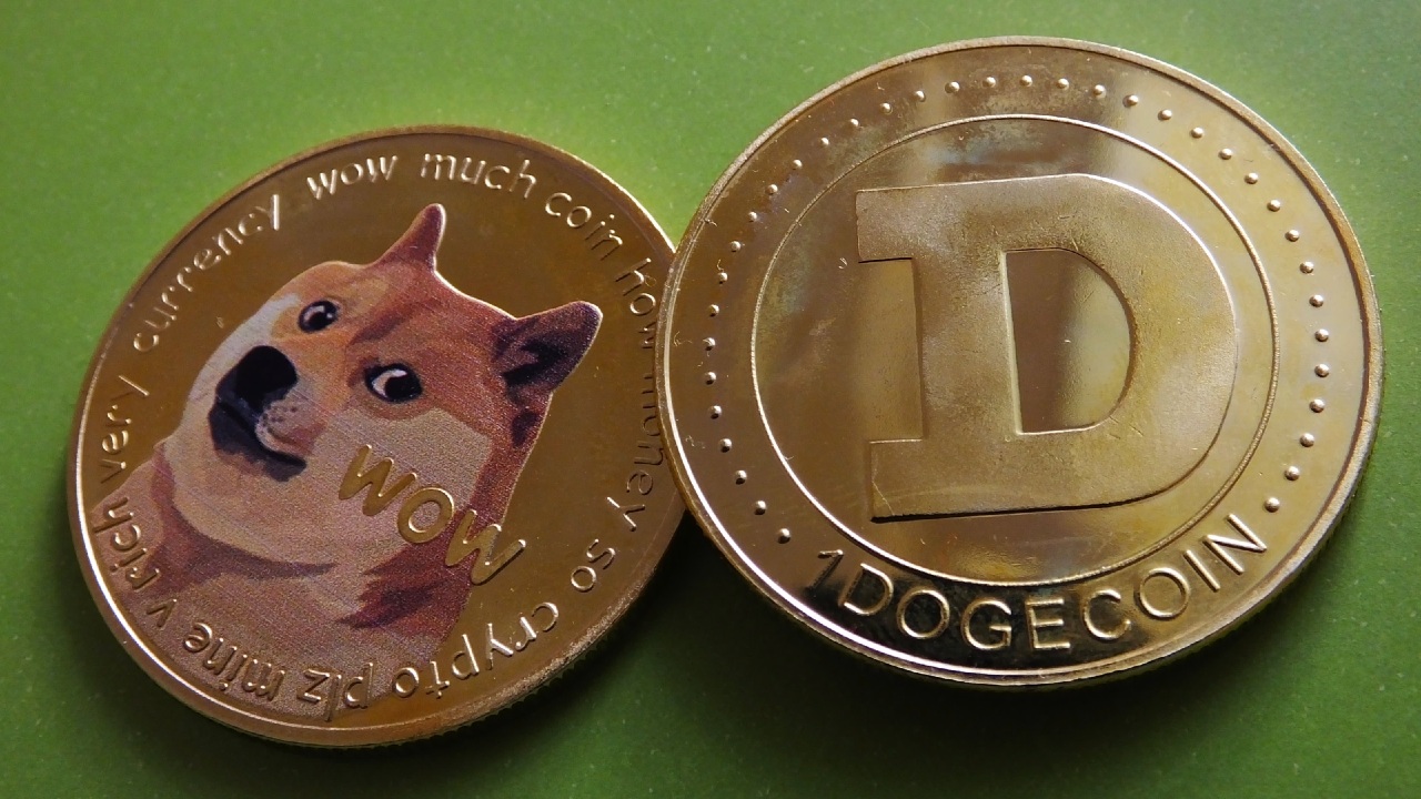 Cuzdaninda Dogecoin Tutanlarin Sayisi Artti
