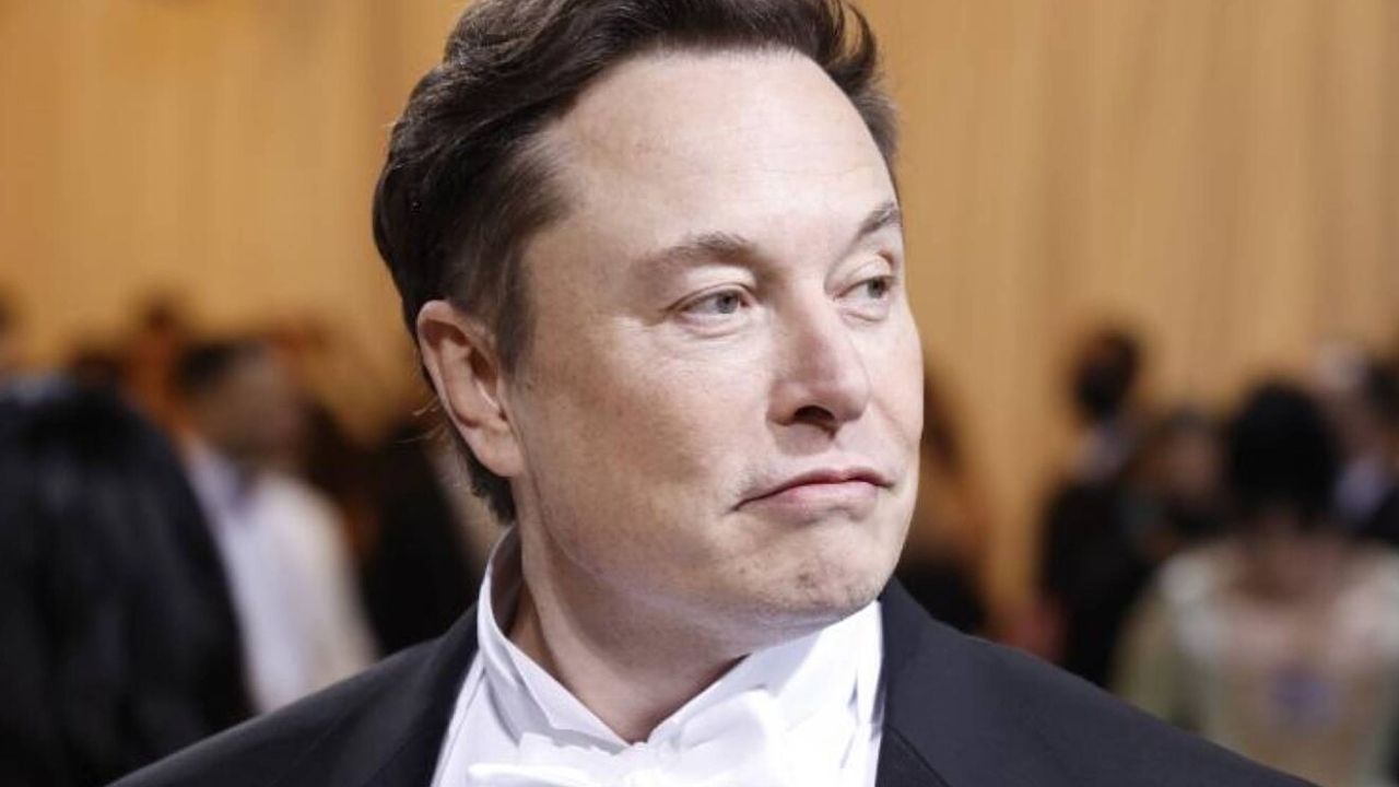 Elonnnnn