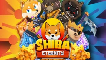 Shiba Eternity Nedir