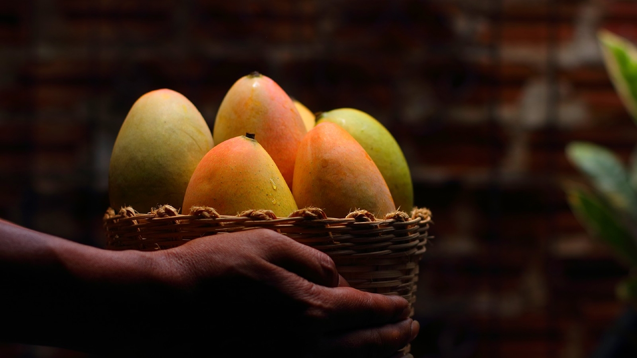 Solana Projeleri Mango Markets Fonlarini Geri Aldi