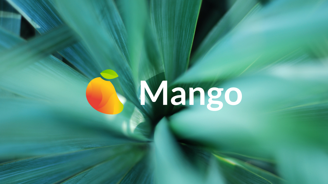mango markets 1
