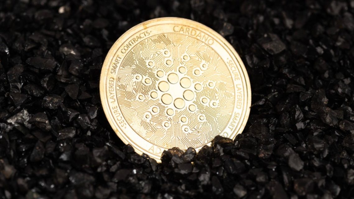 Cardano Dust Tokenini Tanitti