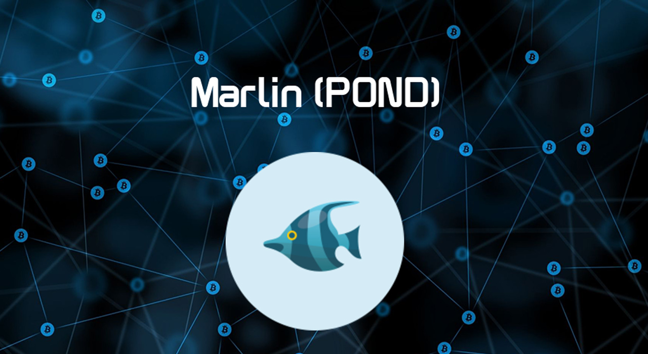 Marlin pond