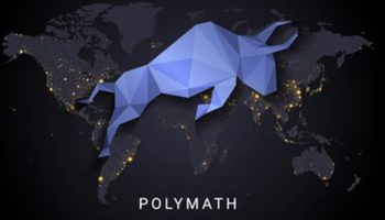 Polymath nedir