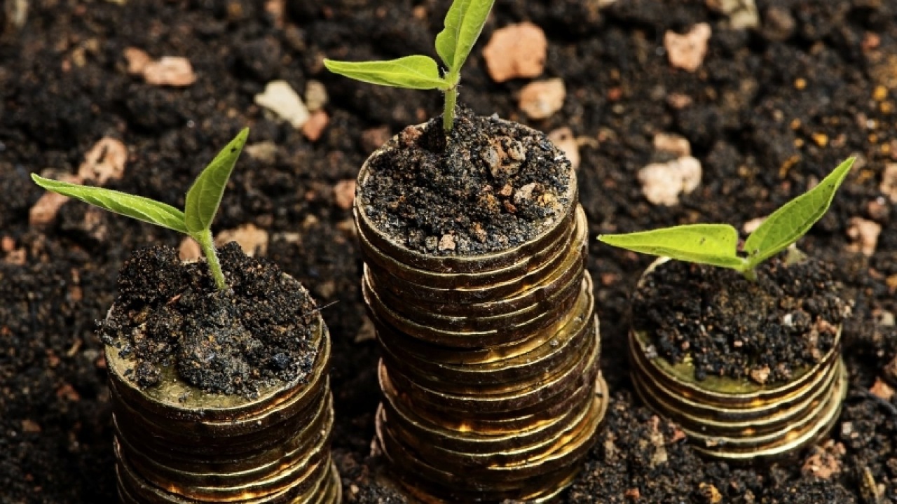 Ramp Bir Yatirim Turunda 70 Milyon Dolar Topladi