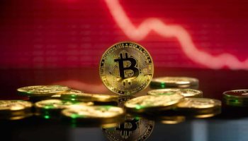 bitcoin fall