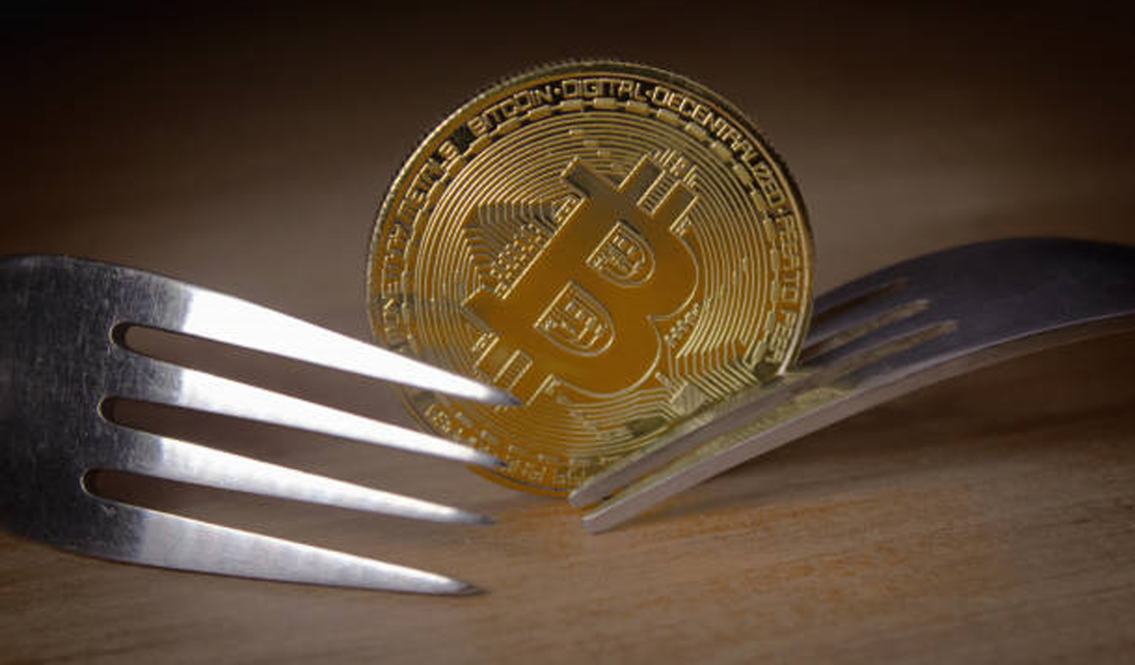 fork catallanma