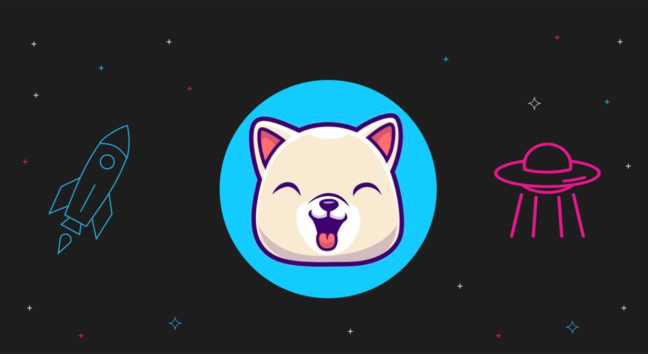 kishu
