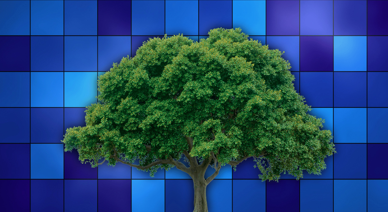 merkle tree