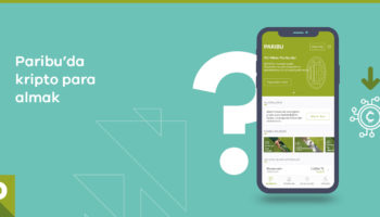 paribu kripto para