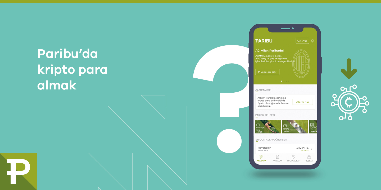 paribu kripto para