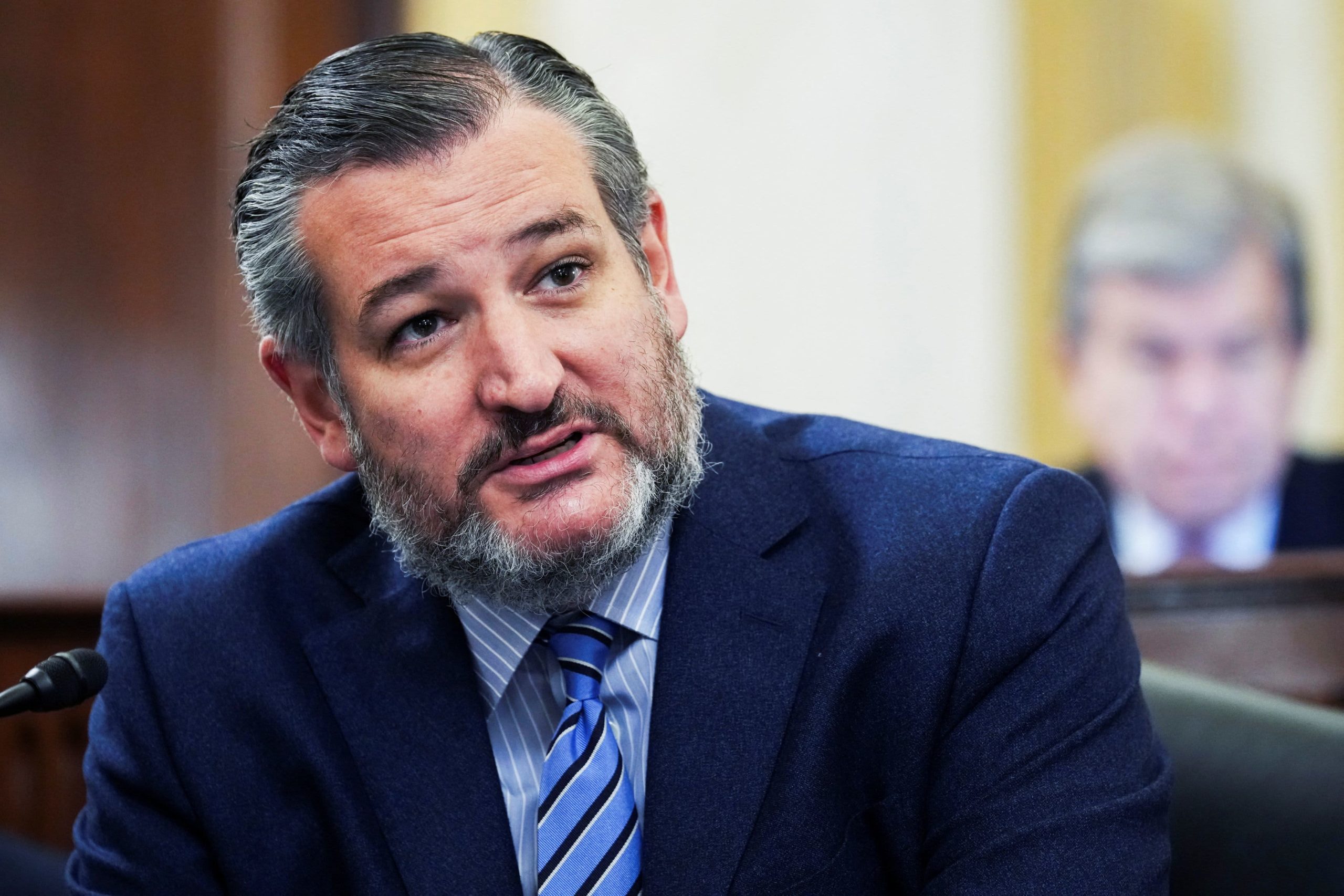 senator cruz