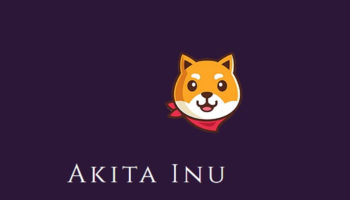 Akita Inu nedir AKITA