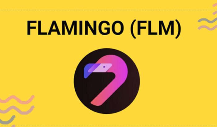 Flamingo FLM coin nedir