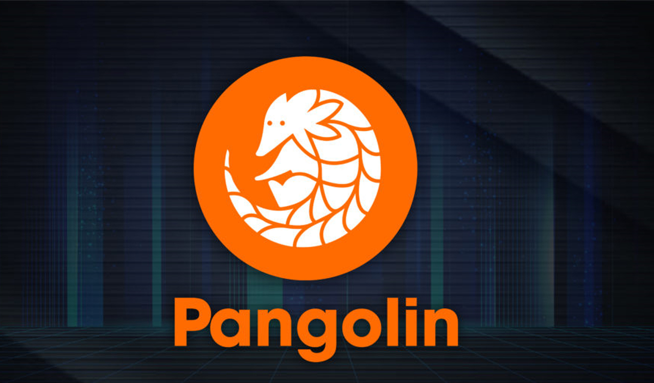 Pangolin PNG nedir