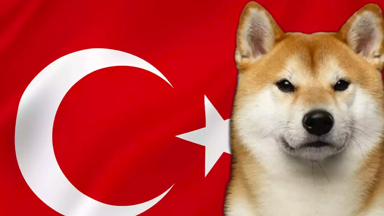 Türkiye Kripto ve Dogecoin ile ilgili en cok arama yapan ülke