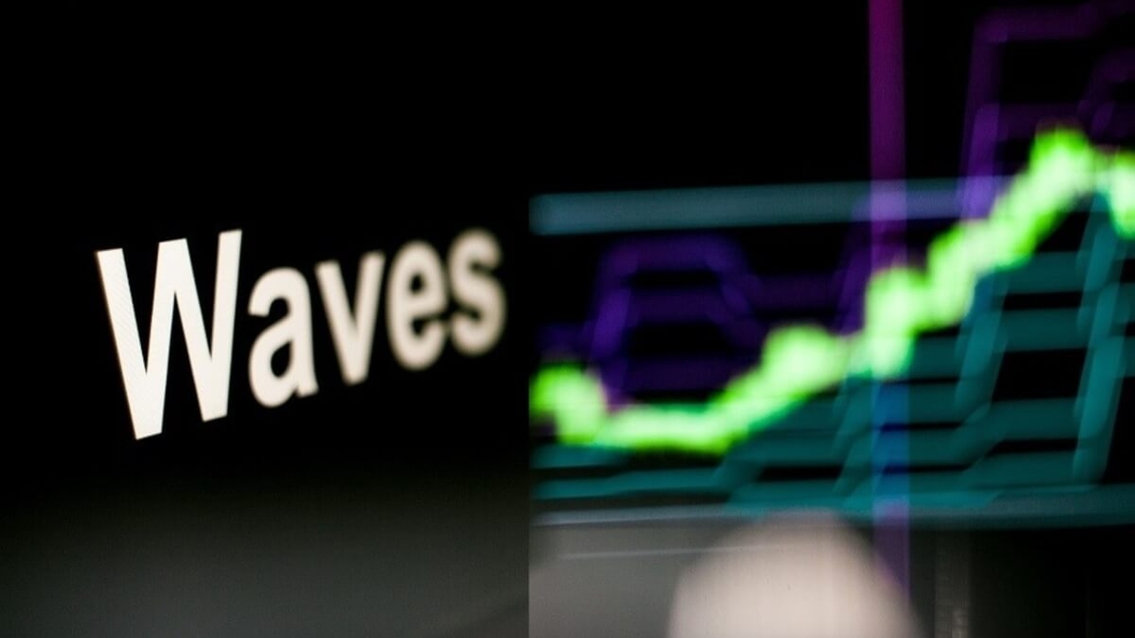 Waves Kurucusu Borsalara Cagrida Bulundu