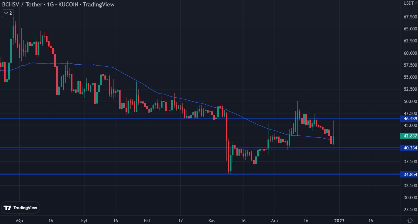 bsv11