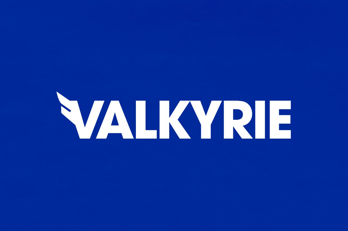 valkyrie investments