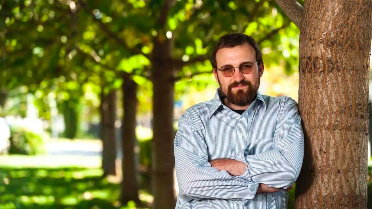Cardano Kurucusu CoinDesk icin Ellerini Ovusturuyor