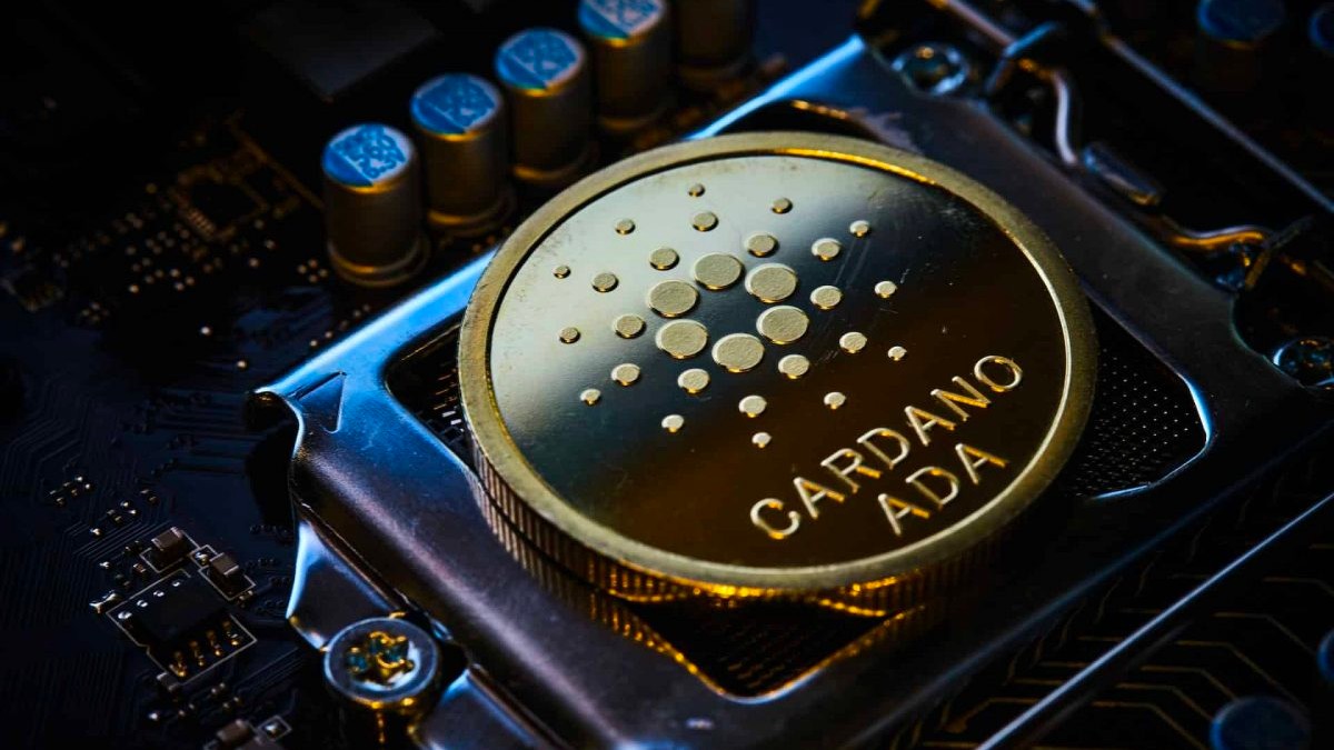 Cardano Ozel Yapim Yan Zincirlerle Genislemeye Hazirlaniyor