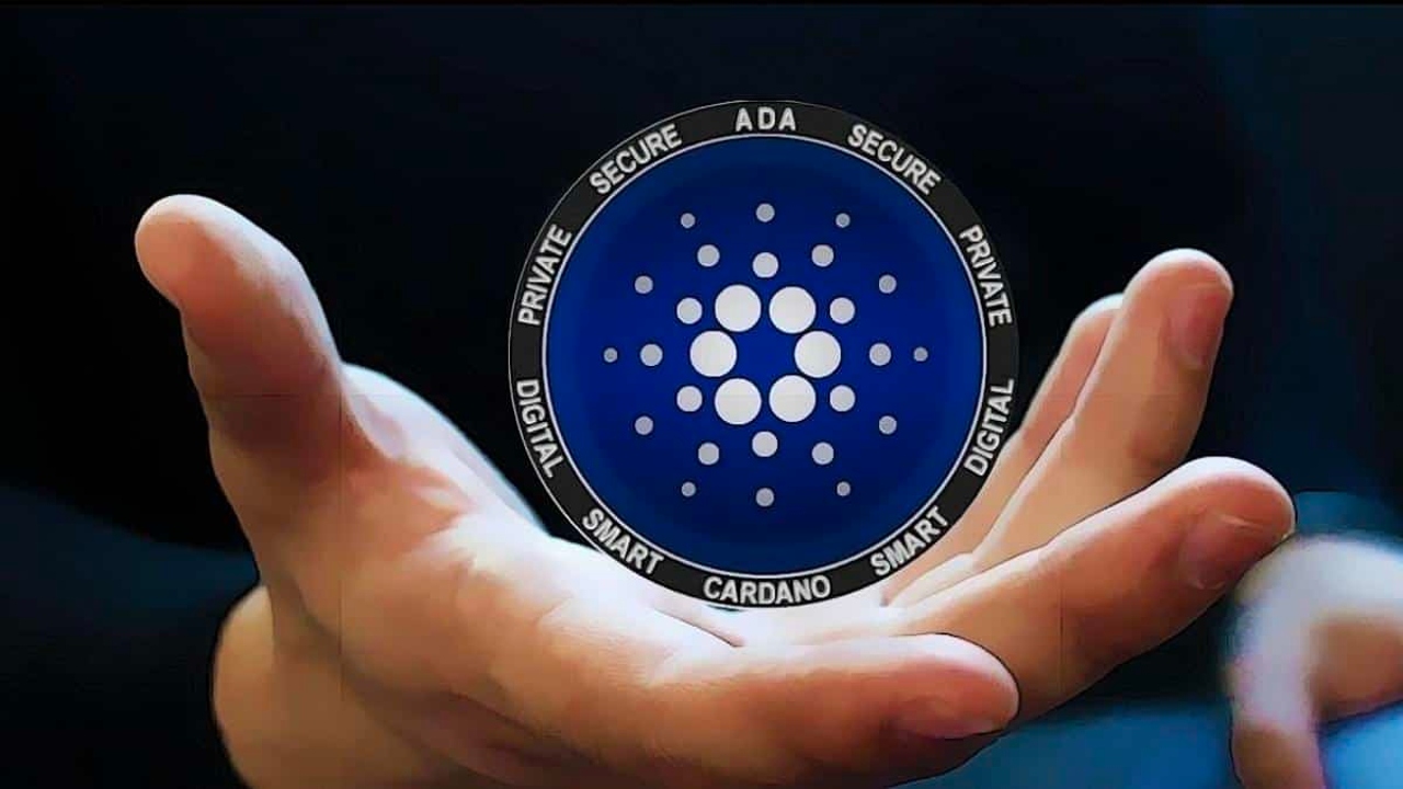 Cardano Toplam Kilitli Varligi Yuzde 30 Artti