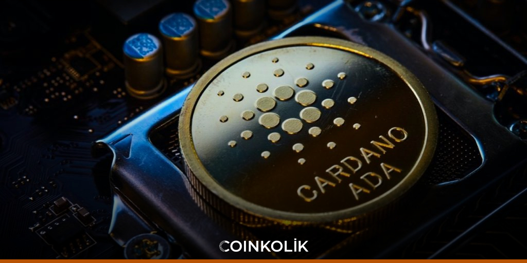 Cardano Üzerine İnşa Edilen Proje Sayısı Arttı