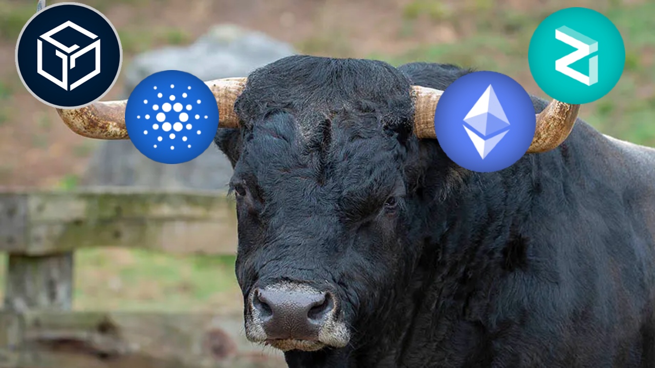 Kripto Paralar Yukseliyor Altcoin Rallisi Basladi mi