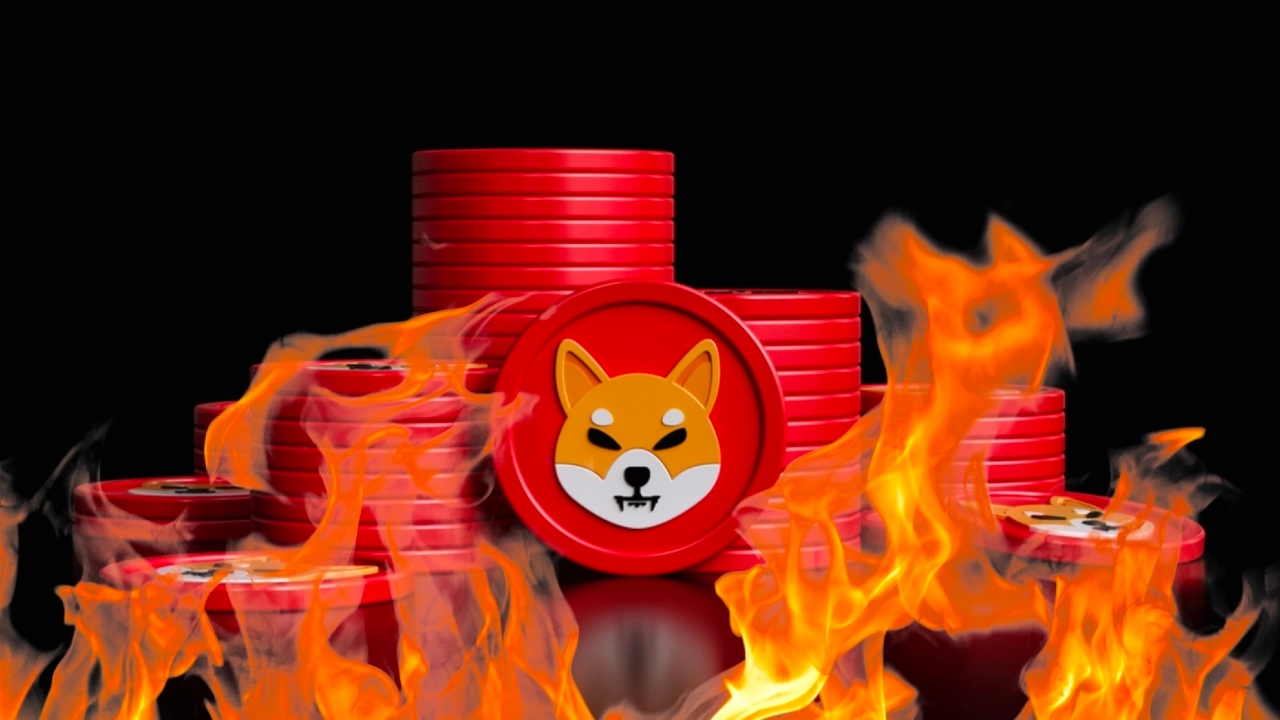 shib