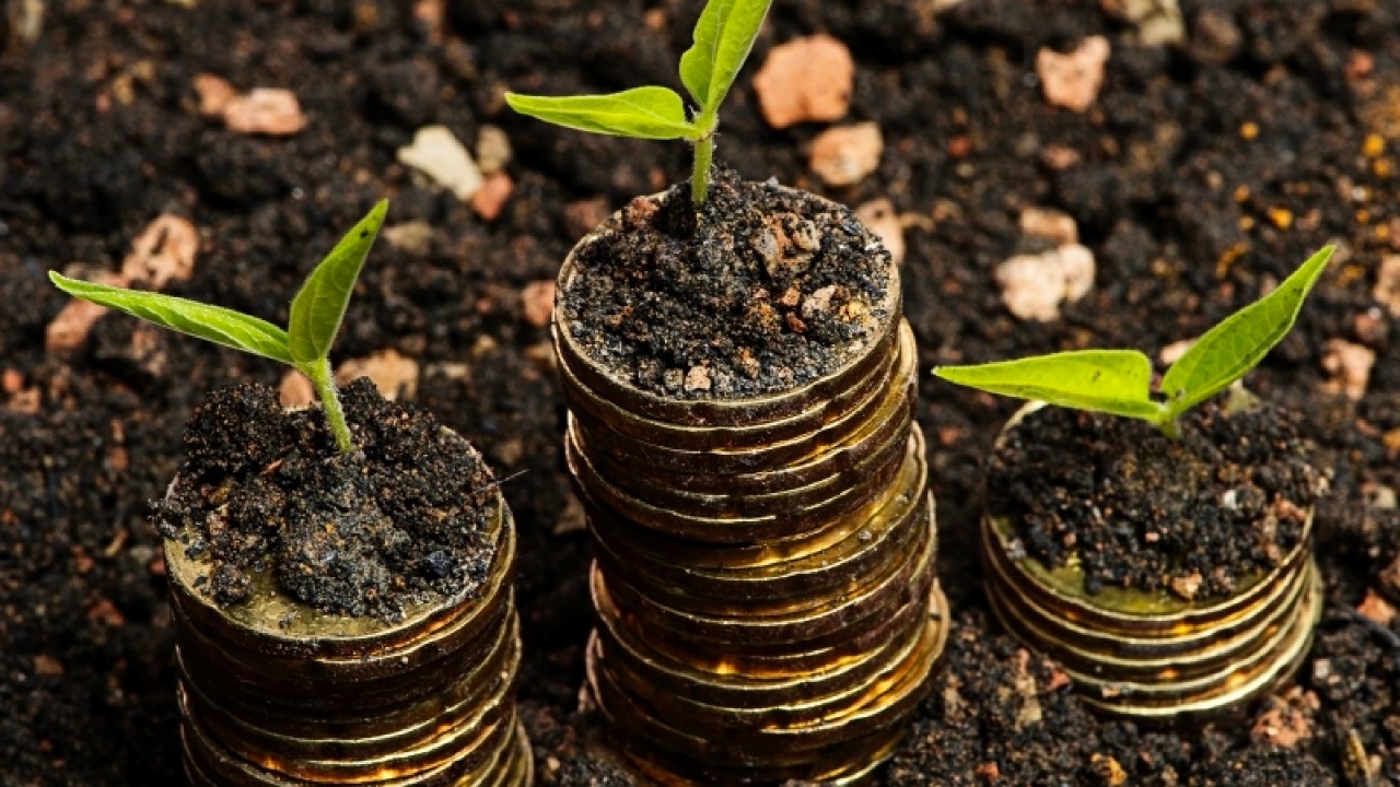 TerraCVita Terra Classic Projesi icin 1 Milyon Dolar Topladi
