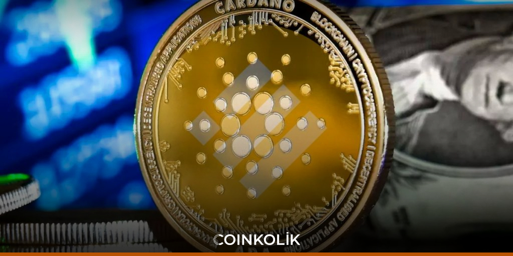 Cardano Kullanıcıları, Ağ Değiştirmeden BUSD Kullanabilecek