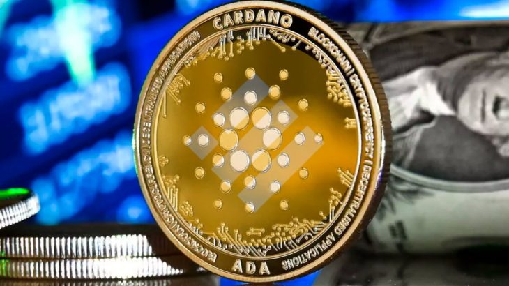 cardano busd