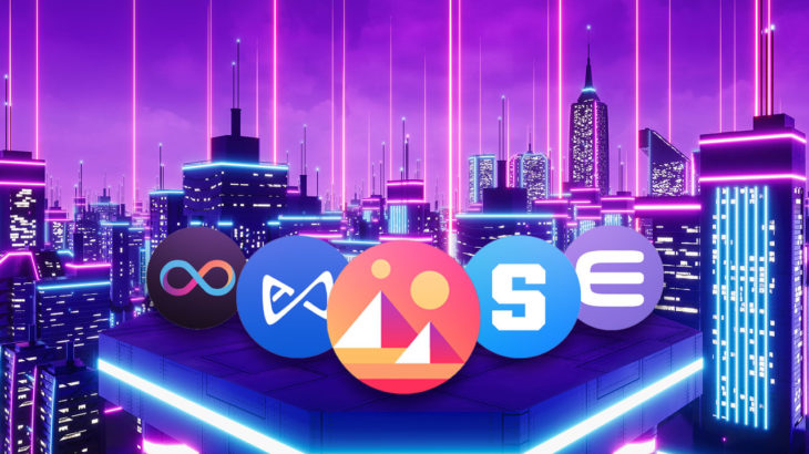 metaverse coin