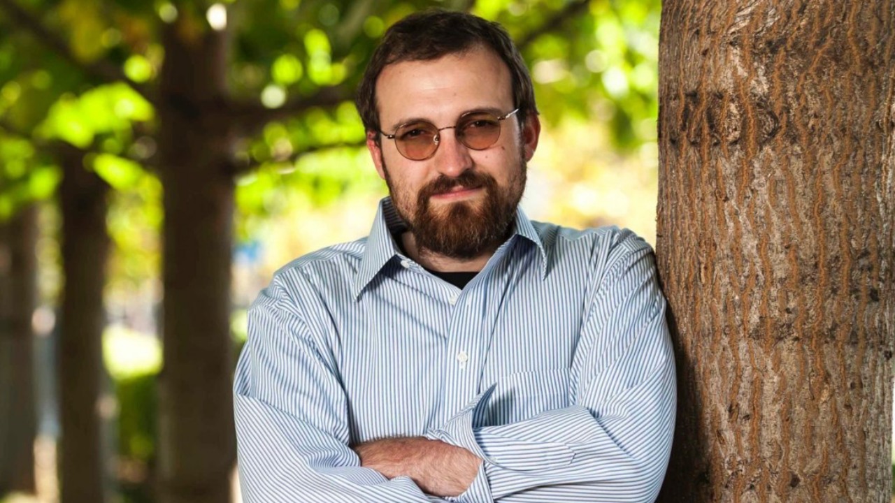 charles hoskinson cnn